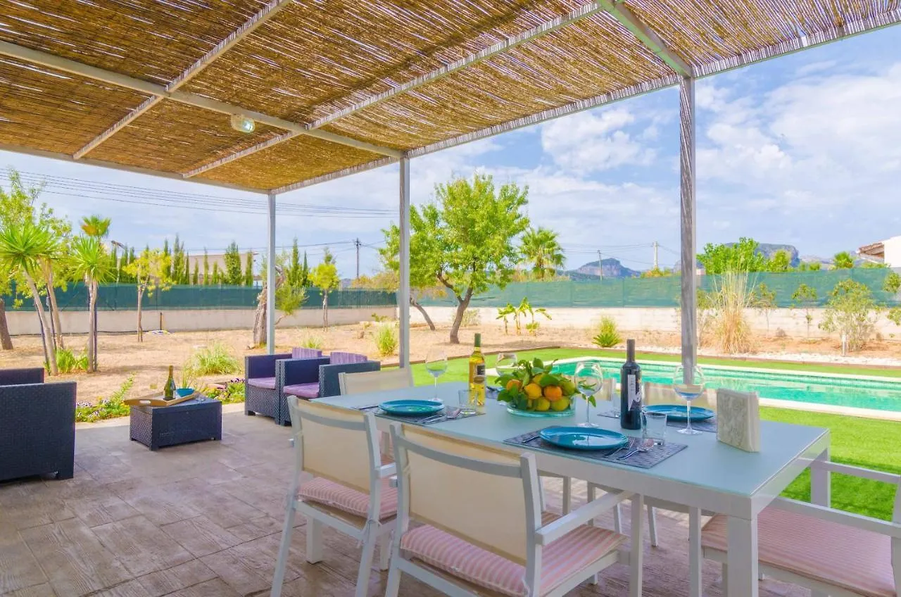 Noguer Villa Lloseta