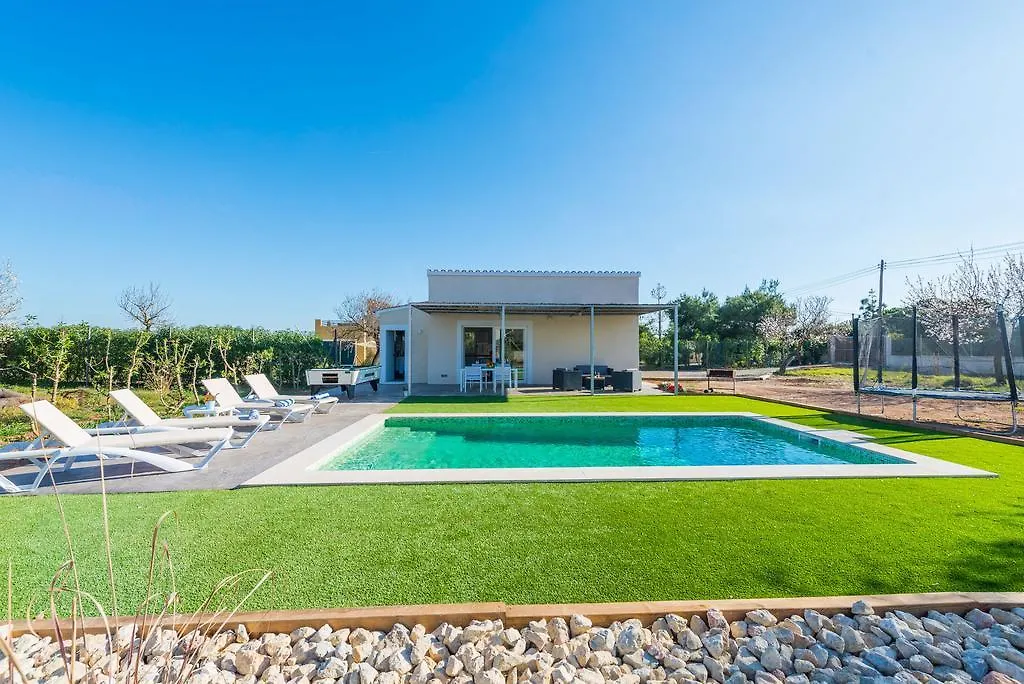 Noguer Villa Lloseta